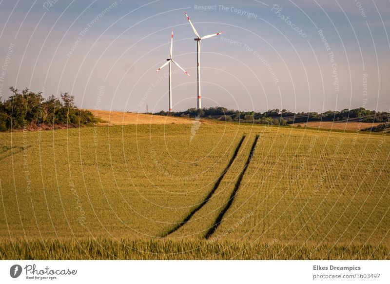 To the wind turbines Field Exterior shot Summer Wheatfield windmills