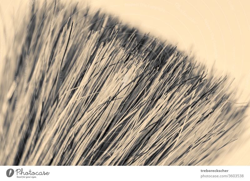 Close-up of a shaving brush in cream clay shave grey white bristle hair creamy close background paint tool paintbrush object household equipment clean used