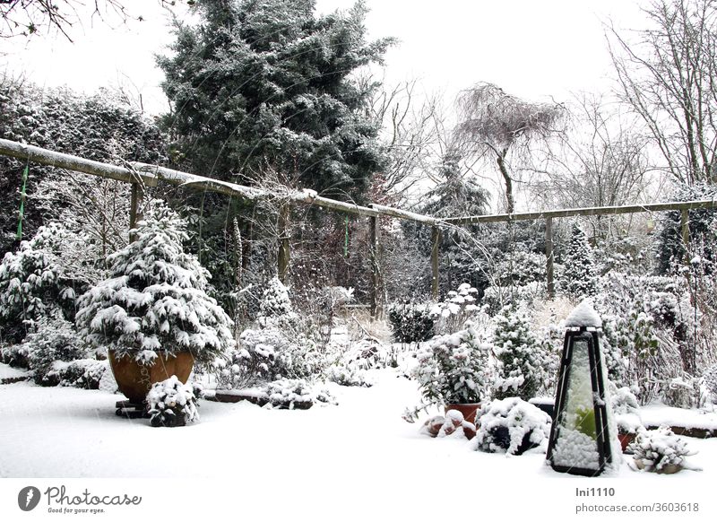 Magic in the garden it was snowing Winter Garden house garden magic Snowcap Pérgola conifers Stuades Candle holder Untouched winter Season View into the garden