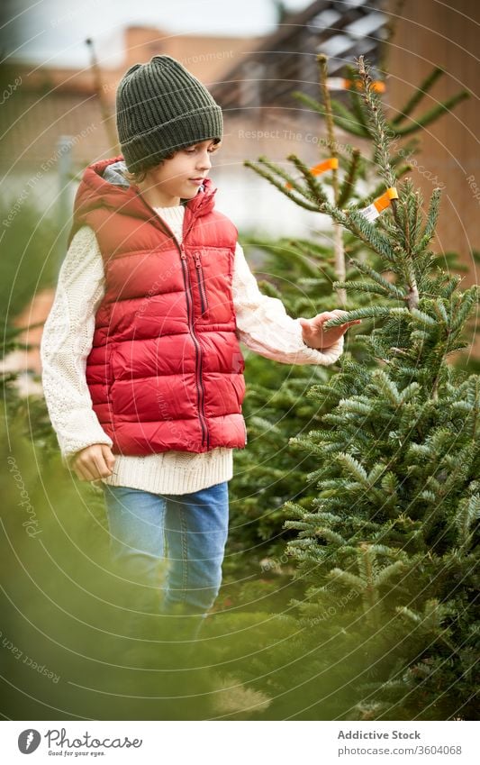 Beautiful blond boy with green wool hat, red vest, white pullover, blue pants and yellow boots choosing his Christmas tree fresh closeup boys december holiday