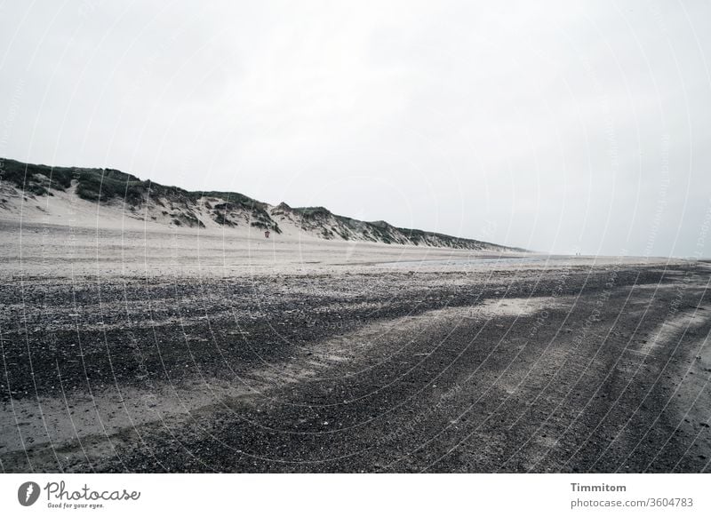 Dunes, sand, stones, beach dunes Sand Beach Sky Dark wide Nature Vacation & Travel Denmark duene North Sea coast Marram grass Clouds overcast sky