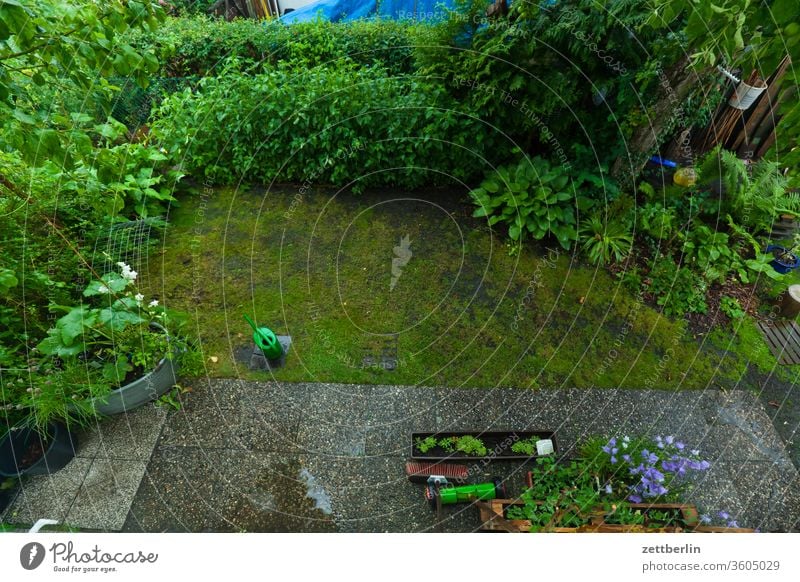 Bird's eye view of the garden Branch tree blossom bleed Relaxation Harvest holidays fruit Garden Grass Cherry tree allotment Garden allotments Deserted Nature