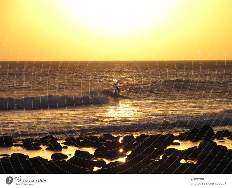 Sunset Surfing Back-light Ocean Beach shore