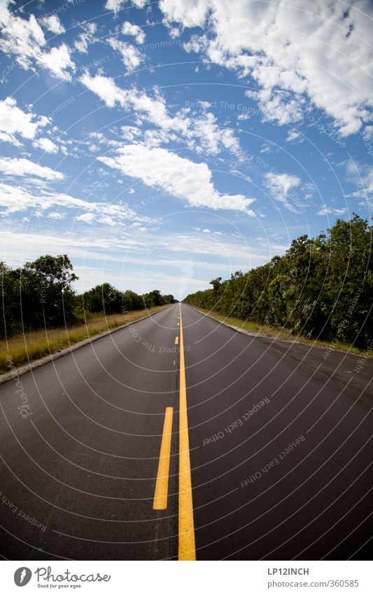 Take me home, yellow line. XXXXX Vacation & Travel Tourism Trip Far-off places Summer vacation Environment Nature Landscape Everglades NP Florida USA