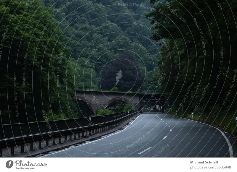 Country road and old railway bridge with lots of forest Street Traffic infrastructure Transport Colour photo Exterior shot Deserted Road traffic Motoring