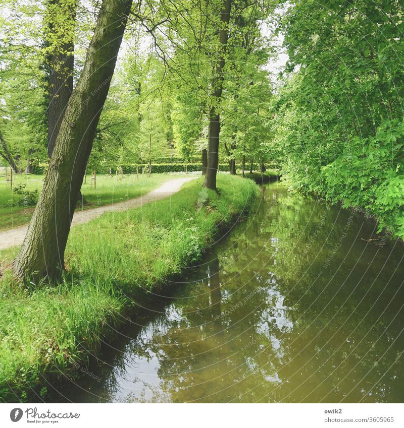 It flows Landscape Channel Waterway Colour photo Exterior shot fluid Body of water Nature Deserted River Day Reflection Central perspective Sunlight Environment