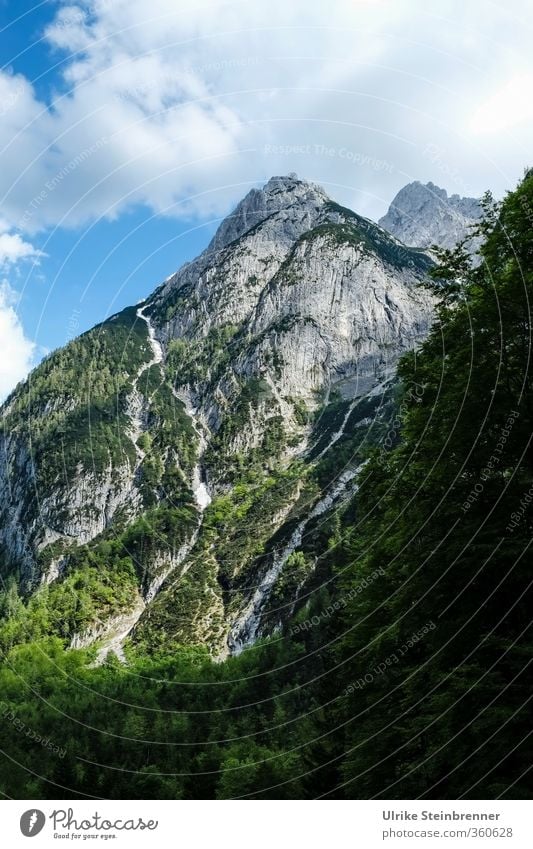 Am Wilden Kaiser 2 Vacation & Travel Tourism Trip Mountain Hiking Environment Nature Landscape Plant Sky Clouds Summer Beautiful weather Tree Bushes Rock Alps