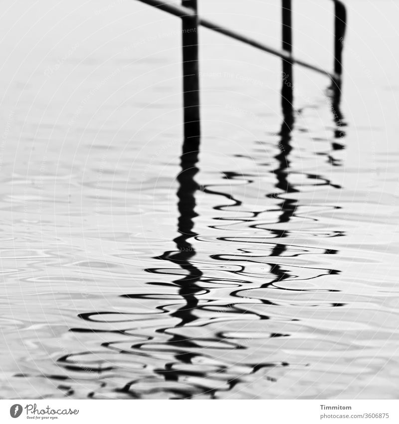 Invitation to a bath in Lake Constance Bathroom Water reflection Reflection in the water Stairs Handrail Metal Black & white photo lines