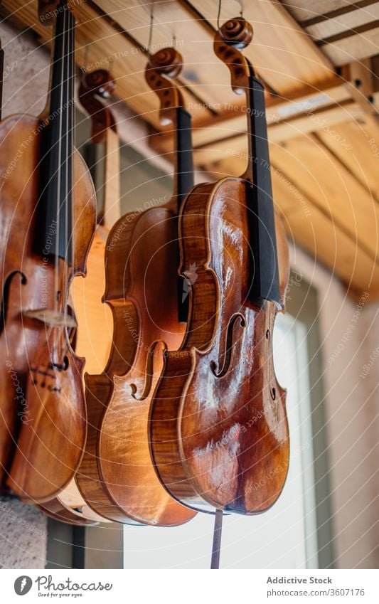 Set of varnished handmade violins hanged for drying on balcony instrument workshop create process wooden row craft dried musical craftsmanship workmanship