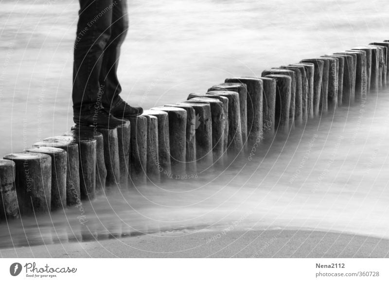 The Hiker Human being Masculine Legs Feet 1 Environment Nature Sand Water North Sea Baltic Sea Ocean Going Walking Attentive Adventure Leisure and hobbies Joy