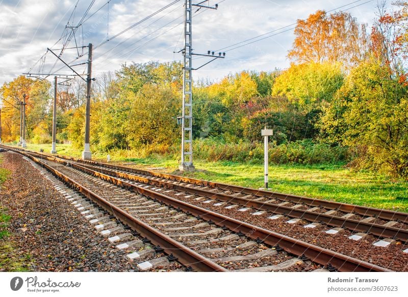 Railway in autumn forest Nature Forest Autumn To fall rail foliage Landscape Yellow tree Holiday season leaves pennant natural Orange Sunlight already Outdoors