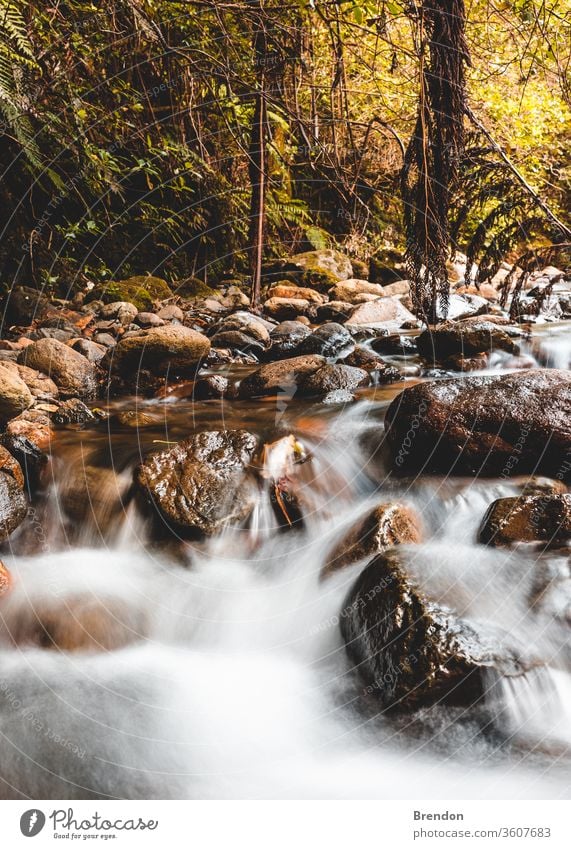 waterfall in autumn forest river stream nature landscape creek flowing rocks cascade tree green mountain stone spring trees park brook beautiful moss