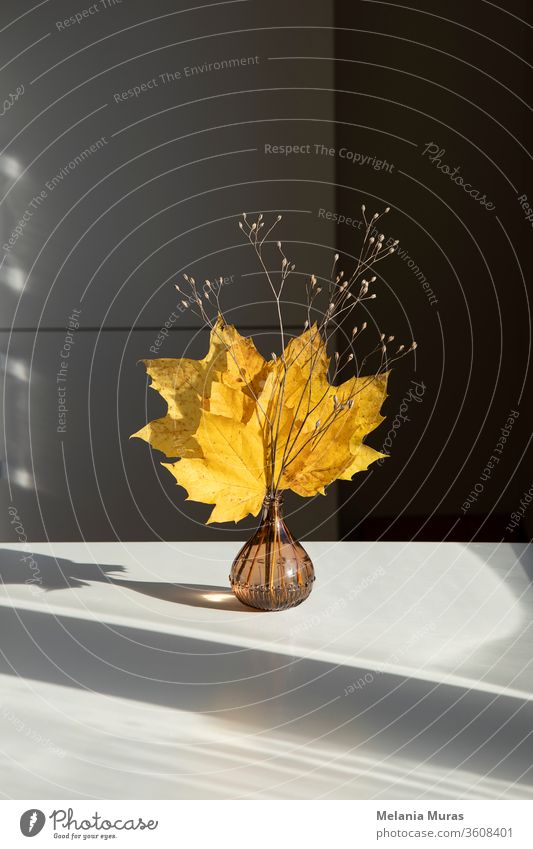 Beautiful seasonal dry bouquet of autumn yellow maple leaves. Indoor decoration. Interior autumn decoration. Home decor, simple, minimalistic dry floral arrangement.