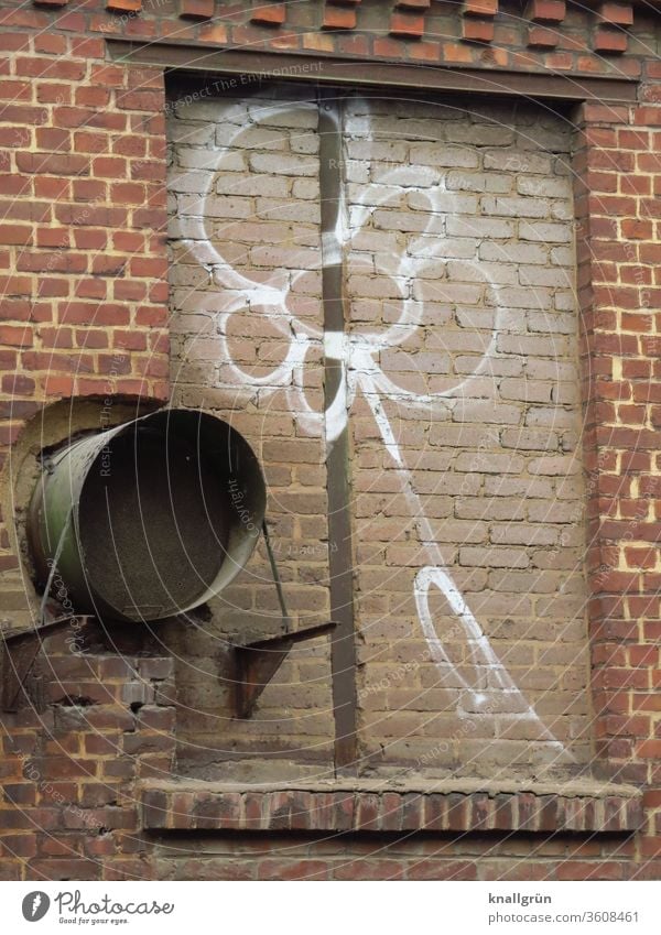 White flower graffiti on a bricked up window Graffiti flowers Wall (barrier) Wall (building) Art Street art Youth culture Window bricks Brick red Colour photo