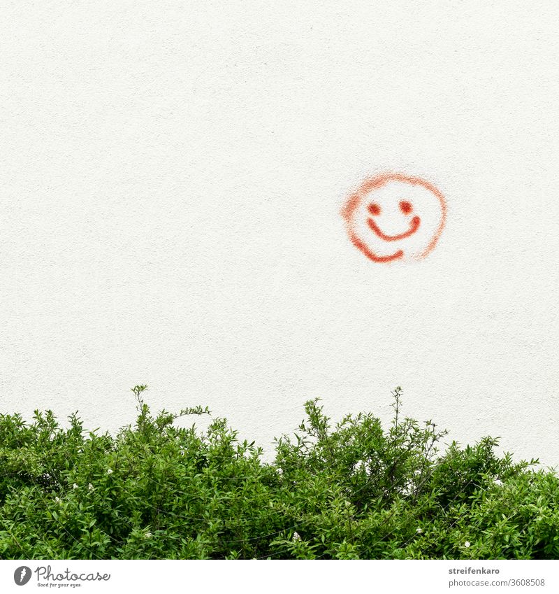 "Please be kind," the red smiley face on the wall above the green bush Graffiti Smiley Red Green shrub Wall (building) Wall (barrier) Exterior shot Colour photo