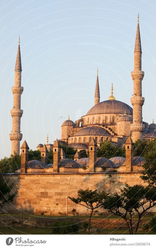 Blue Mosque (Sultan Ahmet Camii) at sunrise in Istanbul, Turkey Landmark Islam Minaret Building Architecture Tourist Attraction Manmade structures Exterior shot