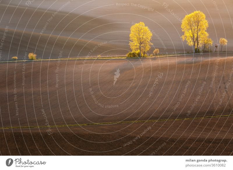 Rural landscape of Turiec region in northern Slovakia. countryside rural fields spring agriculture rolling hills morning tree