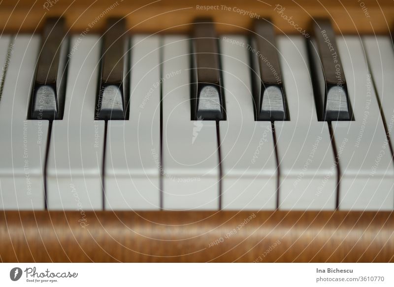 Seven white and five black piano keys surrounded by the light brown wood of the piano, photographed from the player's side. Piano fumble black and white