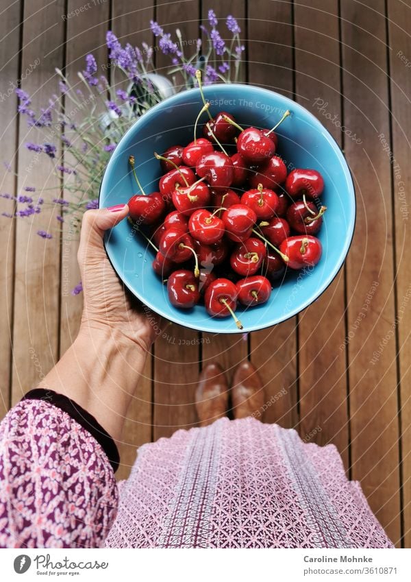 Freshly picked cherries ready to eat Summer fruit Delicious Sweet Food Healthy Juicy Red Mature Organic Nature Harvest green Agriculture Garden Exterior shot