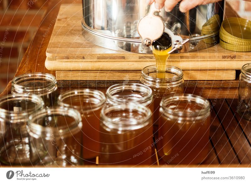 a jar of honey is bottled Bee-keeping Bee-keeper keep beekeepers Honey honey production organic farming ecologic Honey bee Food Healthy Summer Apiary Beehive