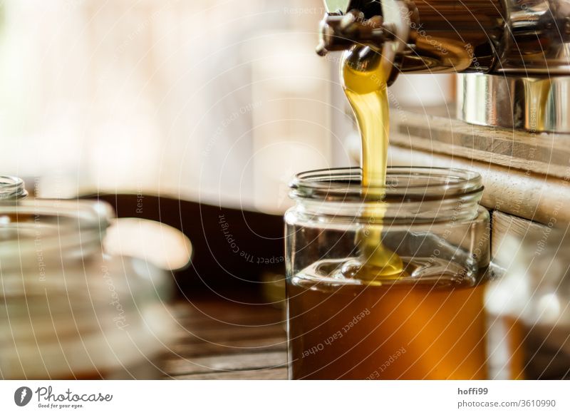 a jar of honey is bottled Bee-keeping Bee-keeper keep beekeepers Honey honey production organic farming ecologic Honey bee Food Healthy Summer Apiary Beehive