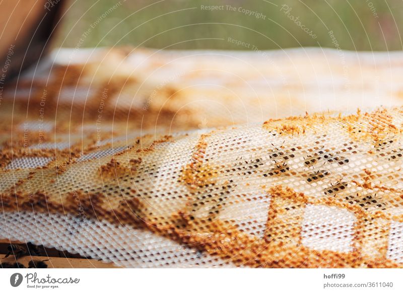 View of an open beehive with Probolis/Kitharz mat Bee-keeping Bee-keeper keep beekeepers Honey honey production organic farming ecologic Honey bee Food Healthy