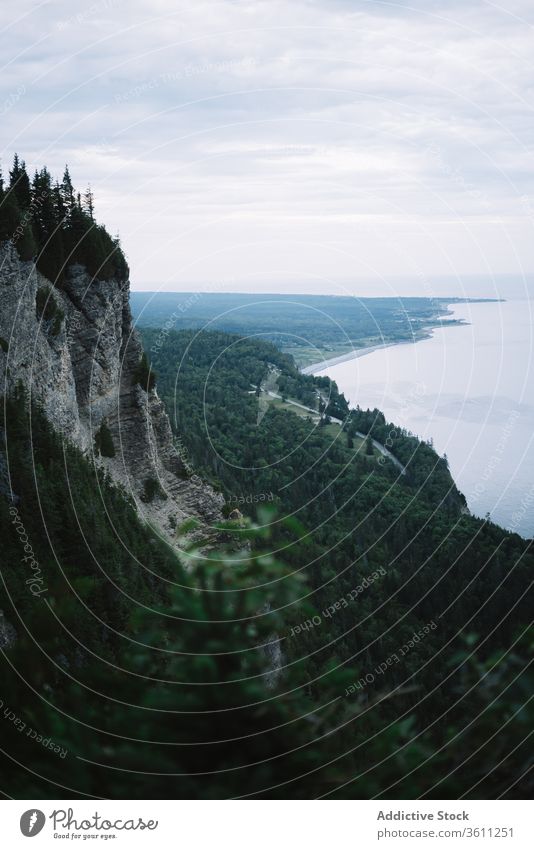 Peaceful lush woods of ocean coast cliff forest scenic nature mountain landscape evergreen la mauricie national park quebec canada scenery environment