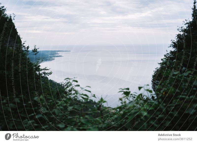 Peaceful lush woods of ocean coast cliff forest scenic nature mountain landscape evergreen la mauricie national park quebec canada scenery environment