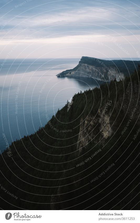 Peaceful lush woods of ocean coast cliff forest scenic nature mountain landscape evergreen la mauricie national park quebec canada scenery environment