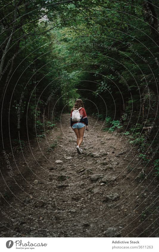 Unrecognizable woman with backpack walking on path in forest travel woods park stroll national la mauricie walkway environment canada quebec activity trail