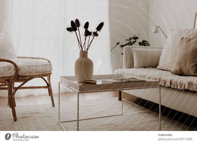 Sunlit living room interior with rattan armchair, white coffee table and white sofa with pillows and blanket, vase with dried flower, palm leaves, lamp, magazines and rug.