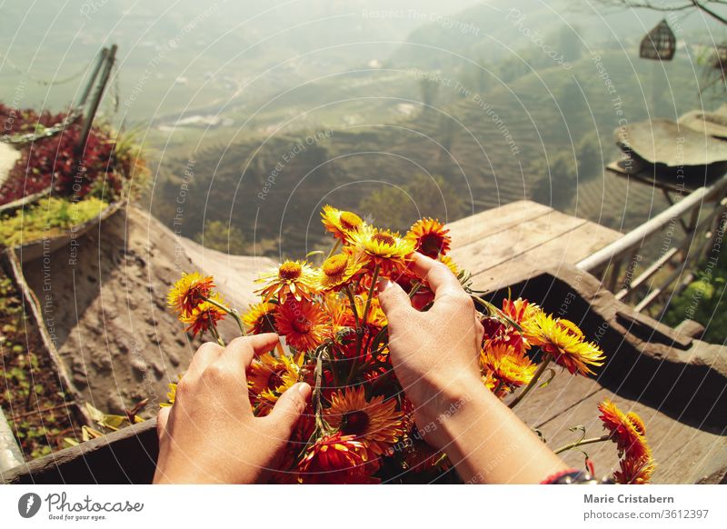 Home gardening and plant care as a way to keep healthy mental well being and coping with home quarantine, self isolation and social distancing during the covid-19 outbreak