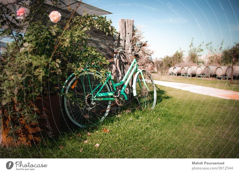 A vintage bike out on a sunny day with some wine containers in the background and flowers in the foreground. bike bicycle Flower Winery Vintage Old Grass Green