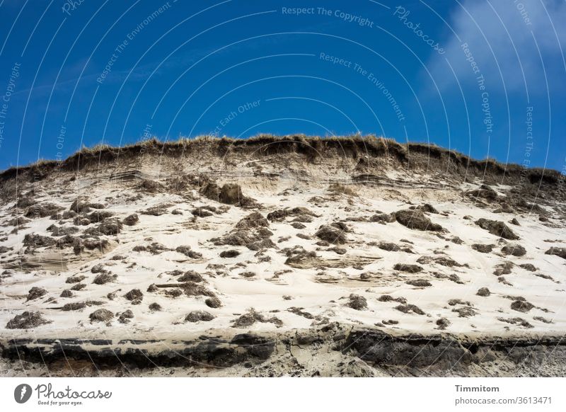 Look up to the dune duene Tall look up Sky Blue Sand Termination Marram grass edge Nature North Sea Landscape Vacation & Travel Denmark Deserted Beach