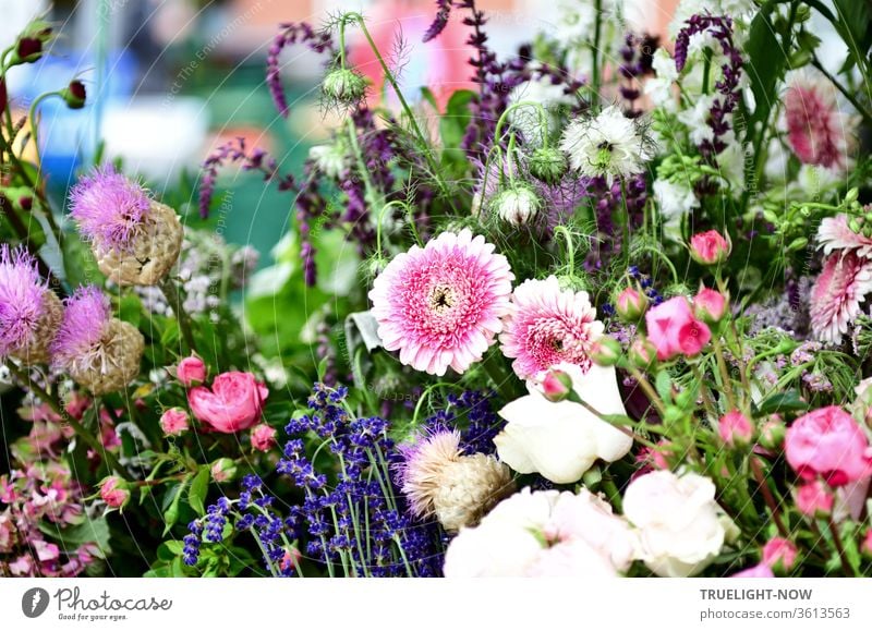 Close-up of a market stall with colourful flowers from the farm garden in full sunshine Market day Country  garden Bouquet Beautiful weather White purple Pink