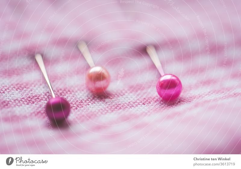 Three pins with pink heads hold the pink and white small checked fabric together Pins and needles Pinhead Cloth Vichy Karo Checkered plaid fabric Pink White