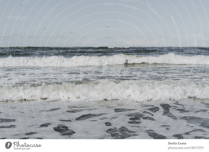 Tides in the Wadden Sea - High tide Waves watt Mud flats Ocean seascape tidal wave Sea coast Colour photo Low tide Coast Beach Water Sand North Sea