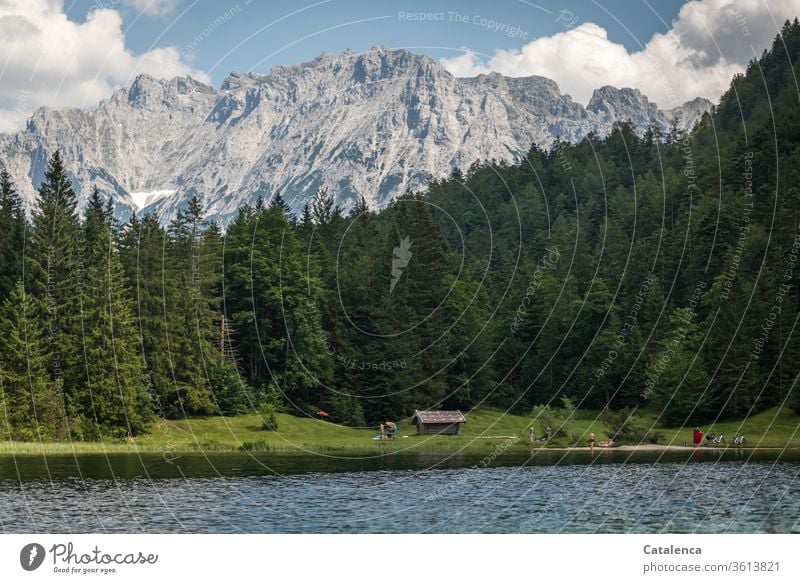 Bathing day at the mountain lake near the meadow with the hayloft Nature Summer Mountains & Mountain Lake Water Plant Forest fir forest Meadow Grass Hayrick