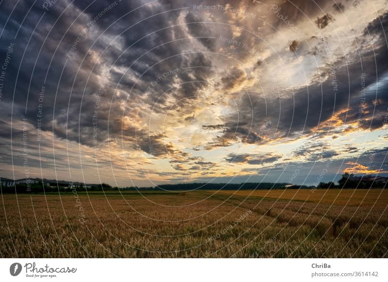 Dramatic sky on a stormy summer evening in Swabia Sky Summer Clouds Deserted Panorama (View) Sunlight Twilight Evening Exterior shot Multicoloured Colour photo