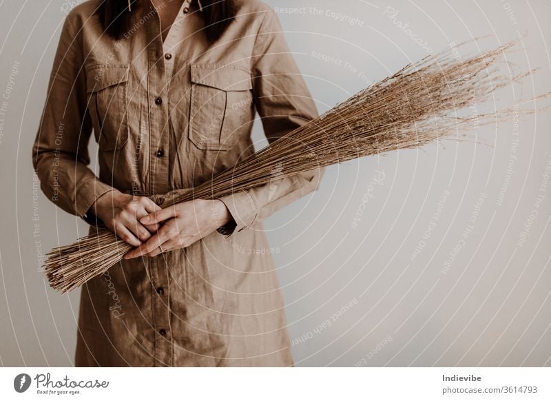 Female holding a bunch of dried straw in her hand in a studio with white wall woman fashion hair plant wheat nature beauty young field grain portrait beautiful