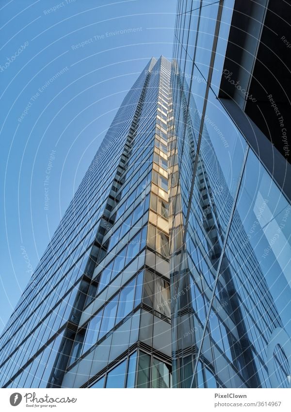 Skyscrapers in an urban metropolis High-rise Architecture Town built Facade Window City dwell metropolitan skyline