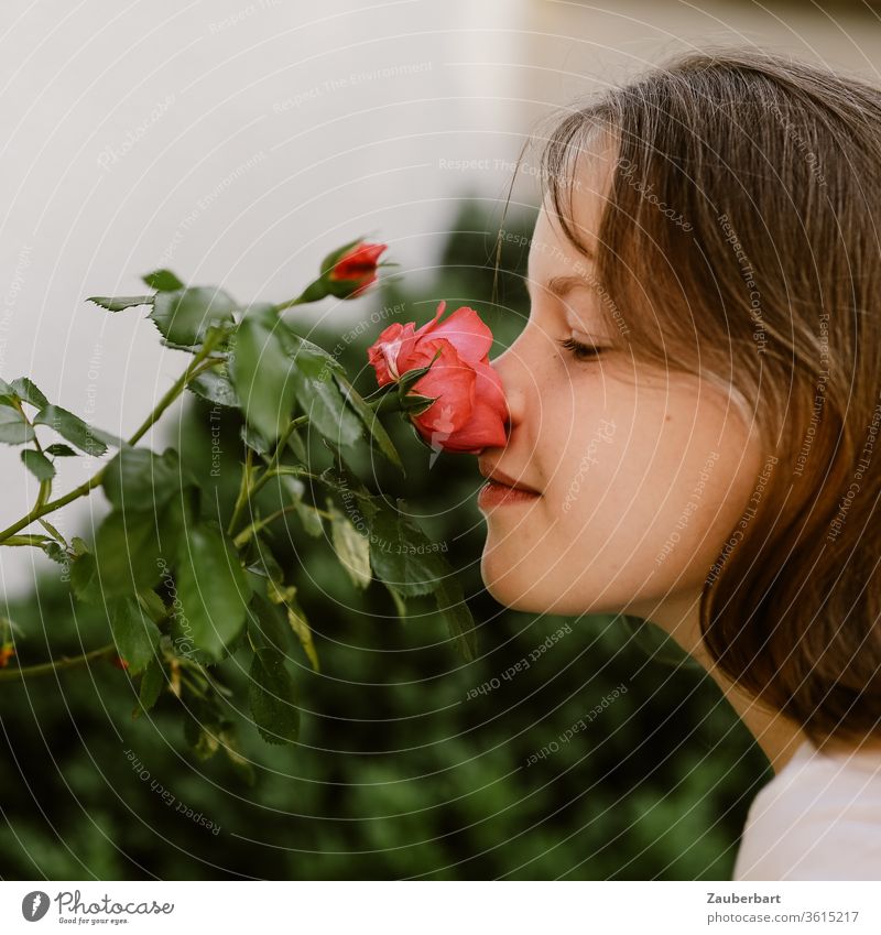 Girl in profile smiles and smells a rose blossom girl Child pink Rose blossom Sweet already Nose sniff observantly Profile Face Cheeks hair Infancy Head Mouth