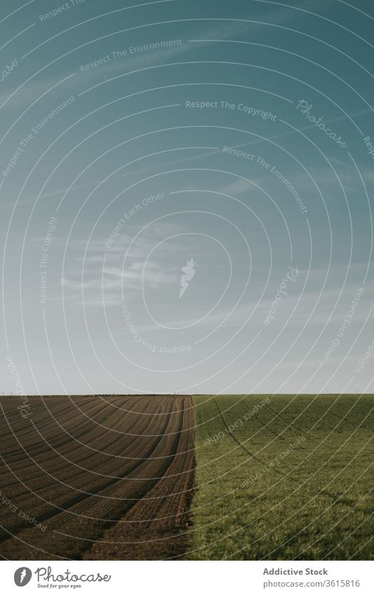 Field on background of blue sky landscape field summer nature rural grass soil agriculture green environment country countryside farmland plant cultivate meadow