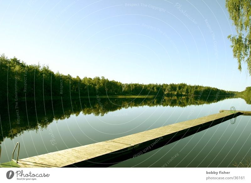 bathing jetty Lake Ocean Calm Reflection Morning Vacation & Travel Relaxation Horizon Scandinavia Nordland Environment Water Nature Sweden