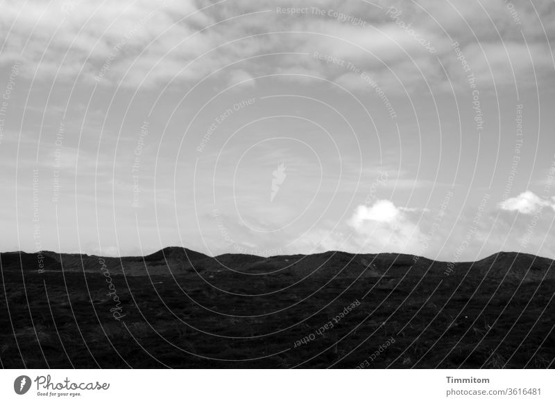 Dunes and clouds dunes Clouds Sky Dark Deserted Black & white photo Denmark Nature Vacation & Travel Marram grass