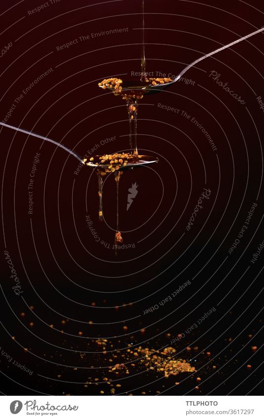honey bee falling in two spoons Honey polen Bee Meal Natural
