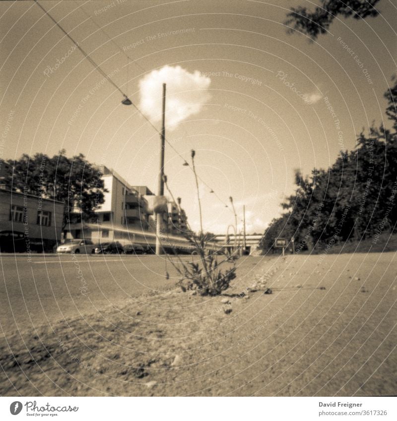 Weeds on the side of a road in summer. Passing car with long exposure Street Exterior shot Summer Close-up wayside hole camera Perspective hole pattern