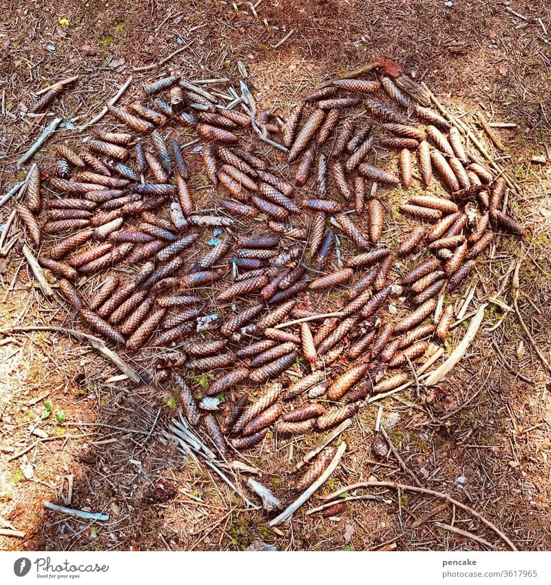 ein herz für... Tannenzapfen Herz Wald Natur braun Waldboden Symbol