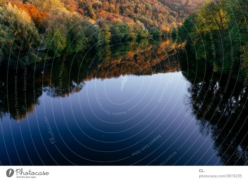 Ruhr Nature River Forest tree Water Lake Landscape Calm Reflection tranquillity Autumn Autumnal Surface of water Beautiful weather Idyll