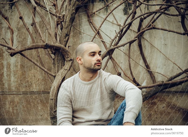 Modern young guy in casual wear sitting near dry tree man modern pensive hipster unshaven beard thoughtful portrait think shabby weathered male handsome style